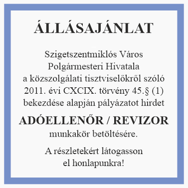 ÁLLÁSPÁLYÁZAT - Adóellenőr / Revizor