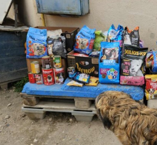 Összefogás a menhelyi állatokért – példaértékű kezdeményezés a Szigetszentmiklósi Mocorgó Óvodában