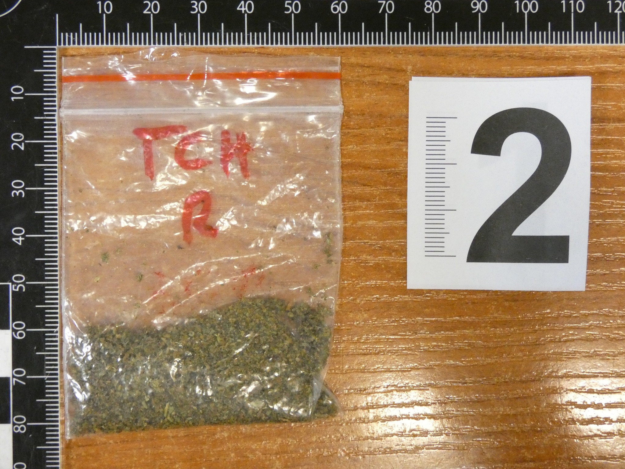 Pest vármegyei rendőrség felvételei