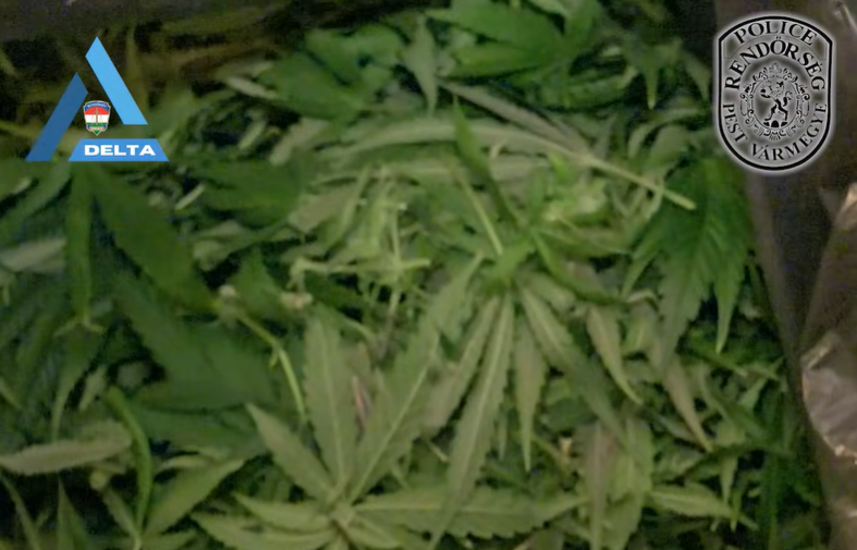 Pest Megyei Rendőrkapitányság helyi hírei