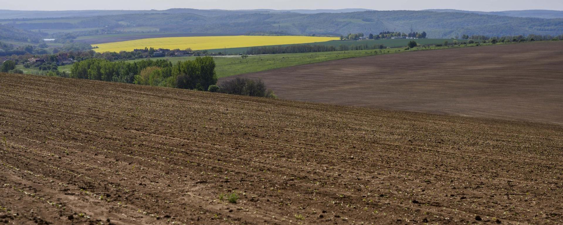 Újabb földterületek megvásárlására nyílik lehetőség