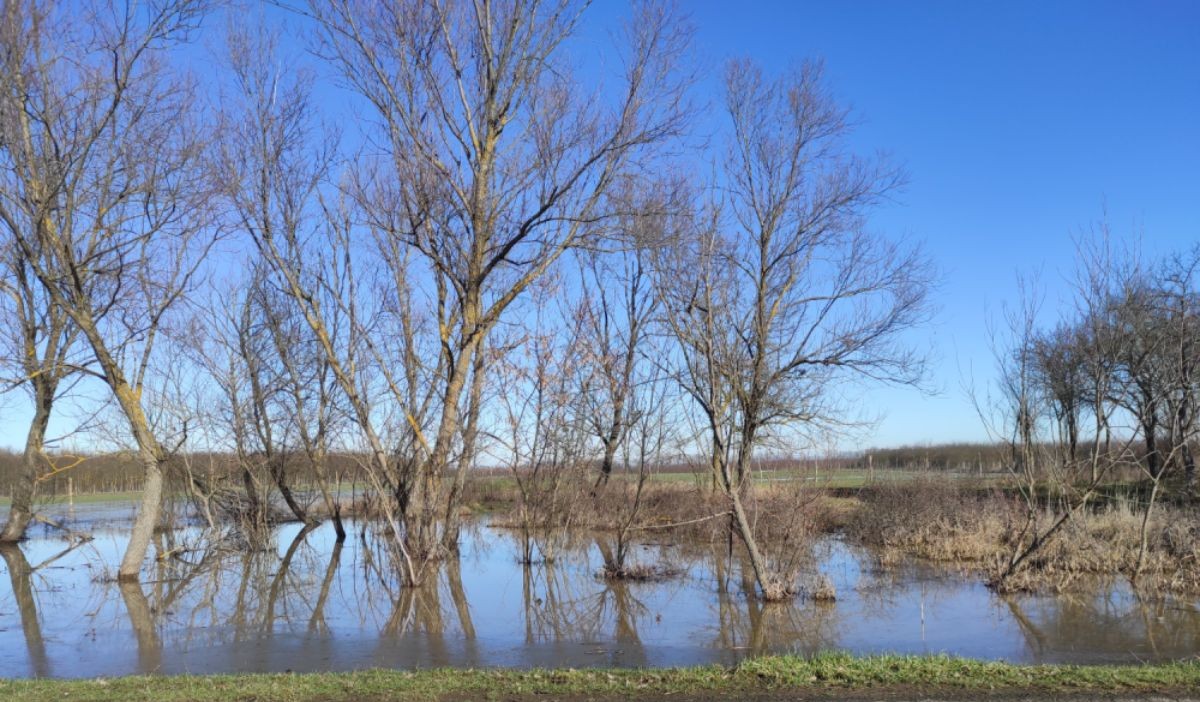 Vízmegtartás és ökológiai vízpótlás: innentől zsebre megy minden ötlet - WWF sajtóközlemény