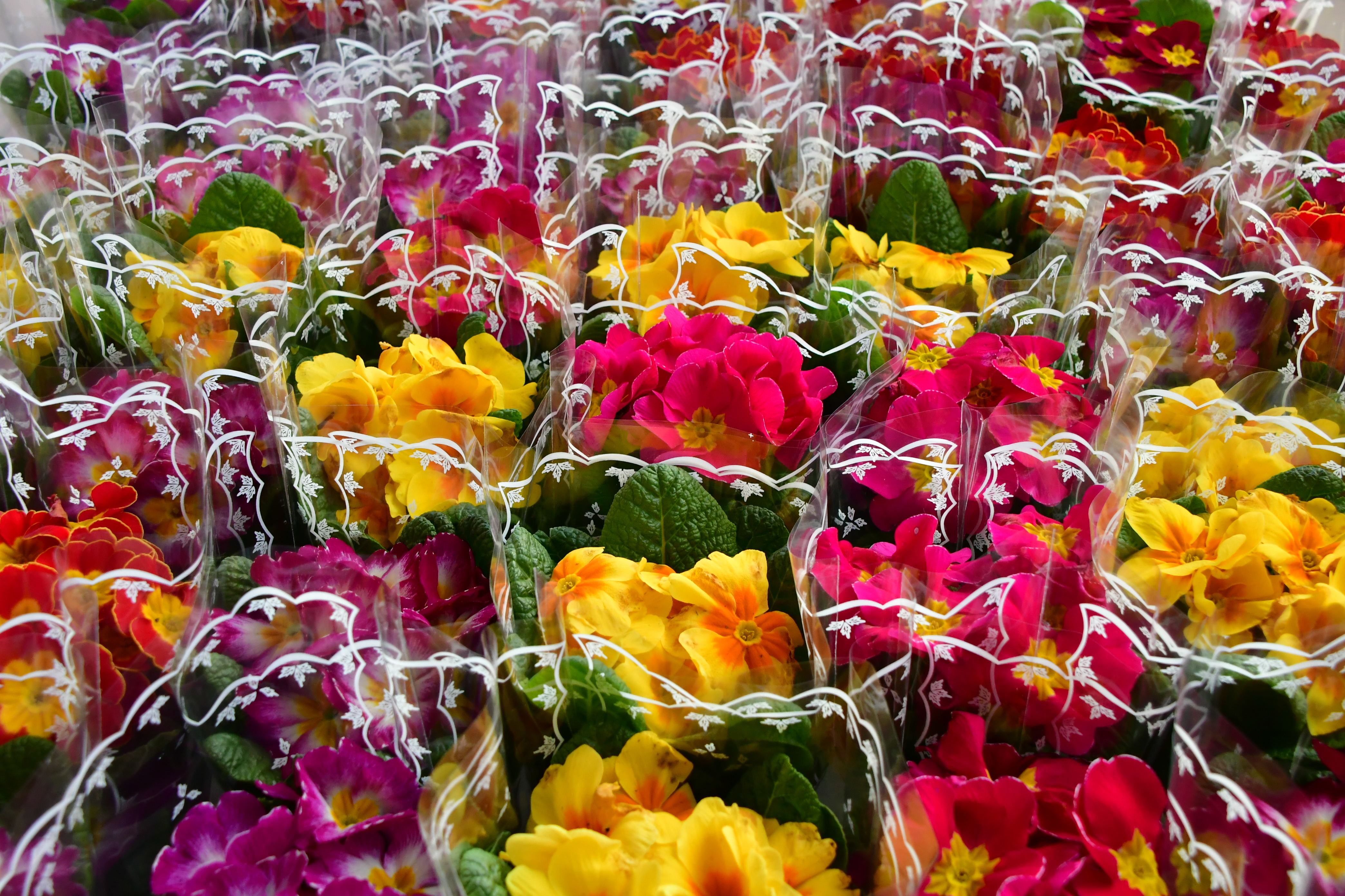 Városi Nőnap 2026.