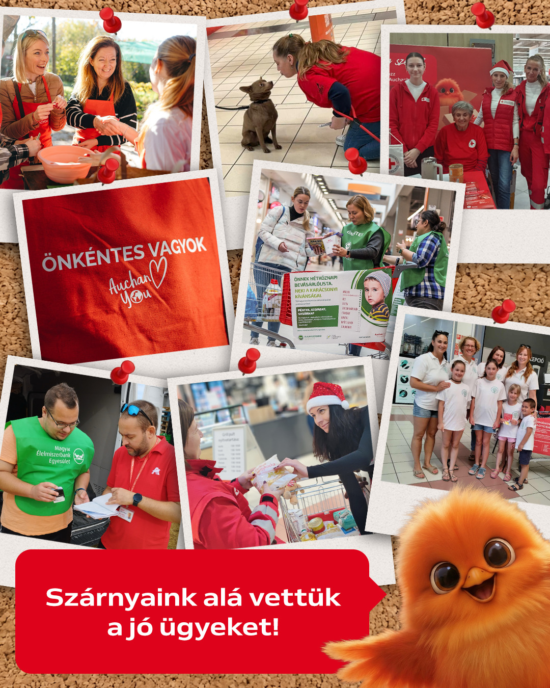 A szigetszentmiklósi Auchan ismét a környéken élőket támogatta