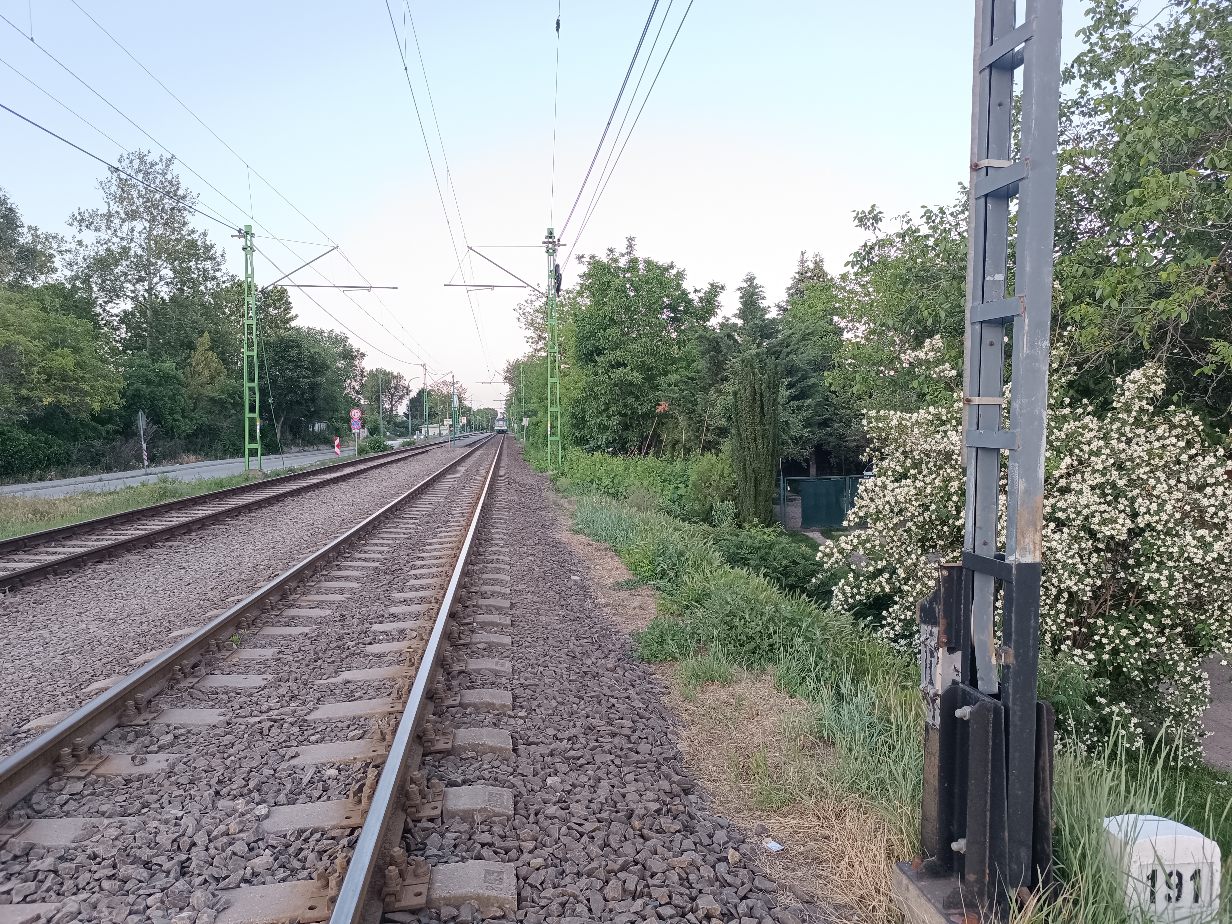 Értesítés fakivágásról - A MÁV Zrt. tájékoztatása