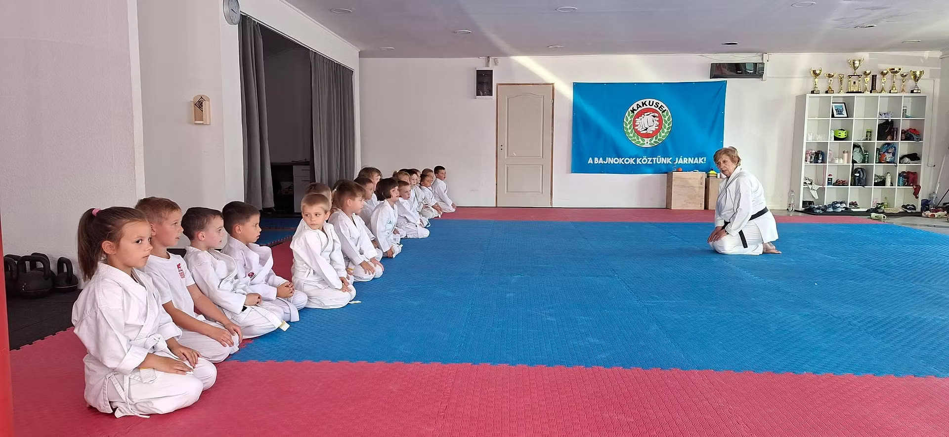 kakusei ovvizsga