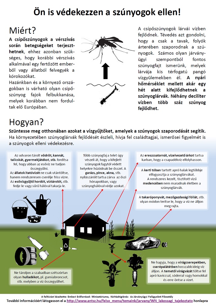 szunyog plak&aacute;t