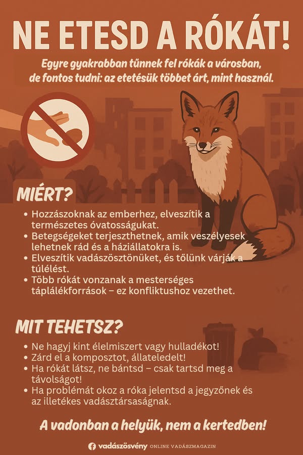 Ne etesd a vadon élő állatokat plakát